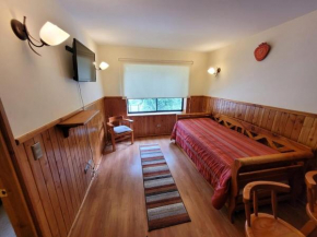 Arriendo departamento Pucon